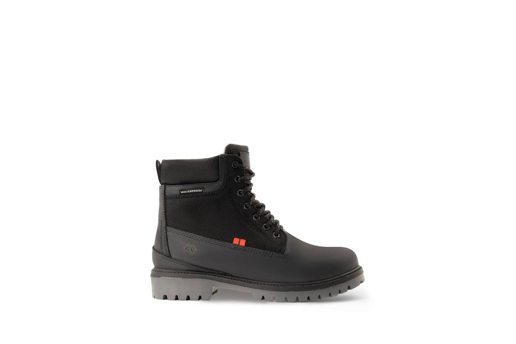 Bota Roi