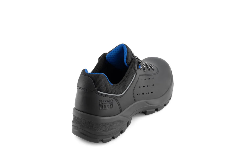 Bota Levi